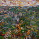 The View from Here